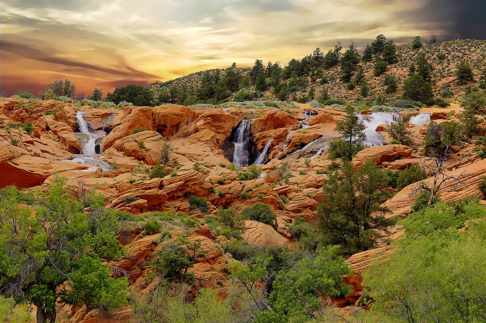 Snow Canyon, near Ivins, Utah